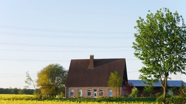 Una casa de ladrillo con techo inclinado, rodeada por un campo de flores amarillas.