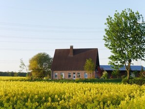 Uklassifisert bilde, 3 av 21, knapp