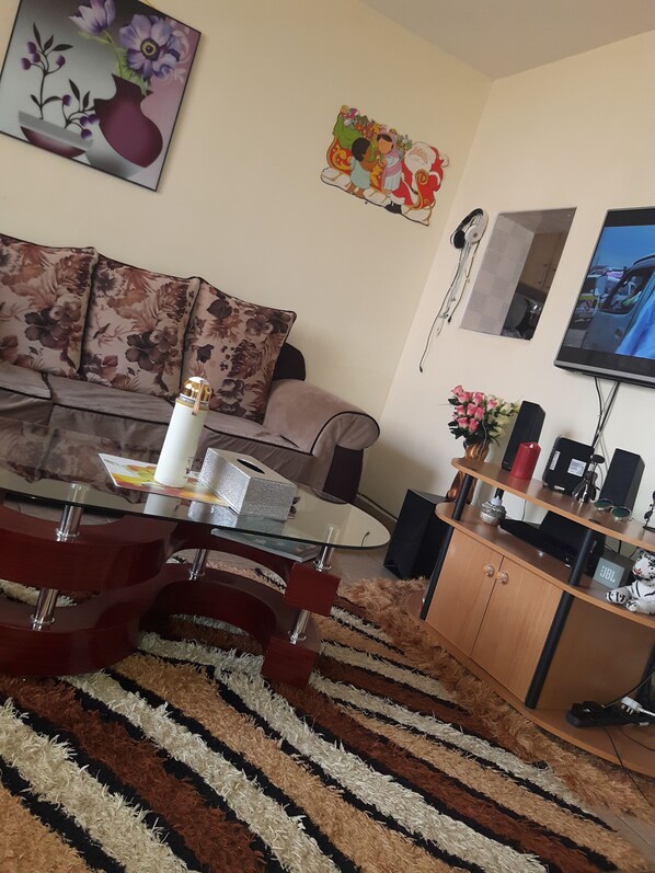 Flat-screen TV, Netflix