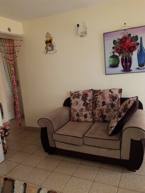 Télévision à écran plat, Netflix