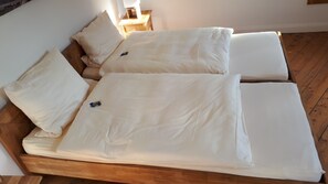 Condo, 6 Bedrooms | Desk, cribs/infant beds, rollaway beds, free WiFi - Gästehaus Alte Schmiede (Ascheberg)