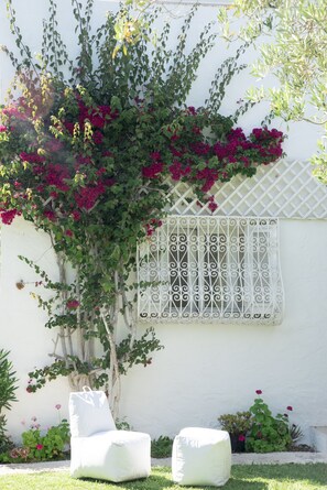 Garden - Villa Dar Janna (Hammamet)