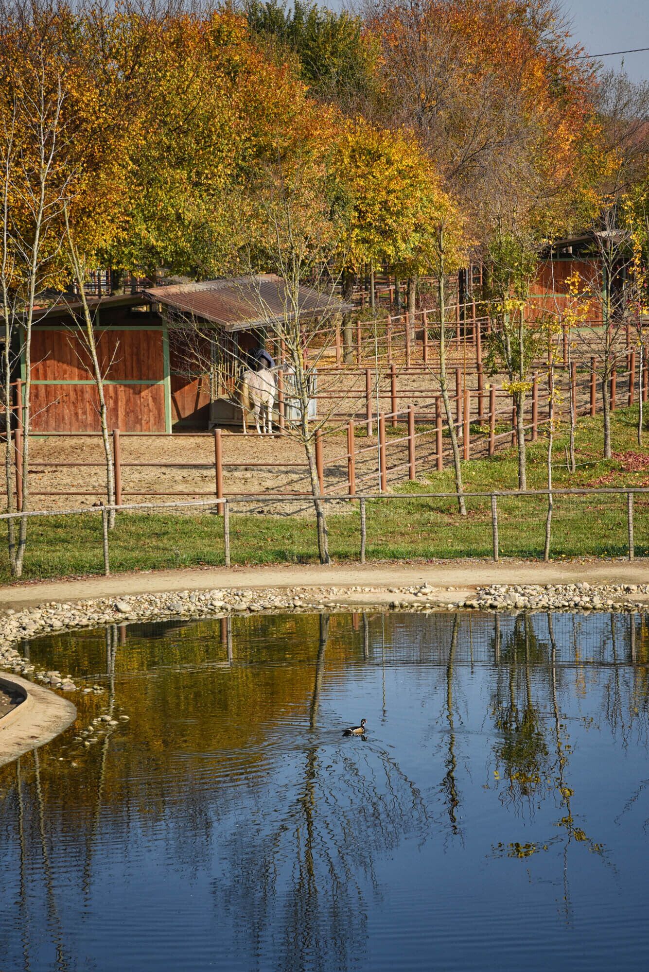 Parco della struttura