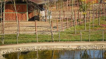 Parco della struttura