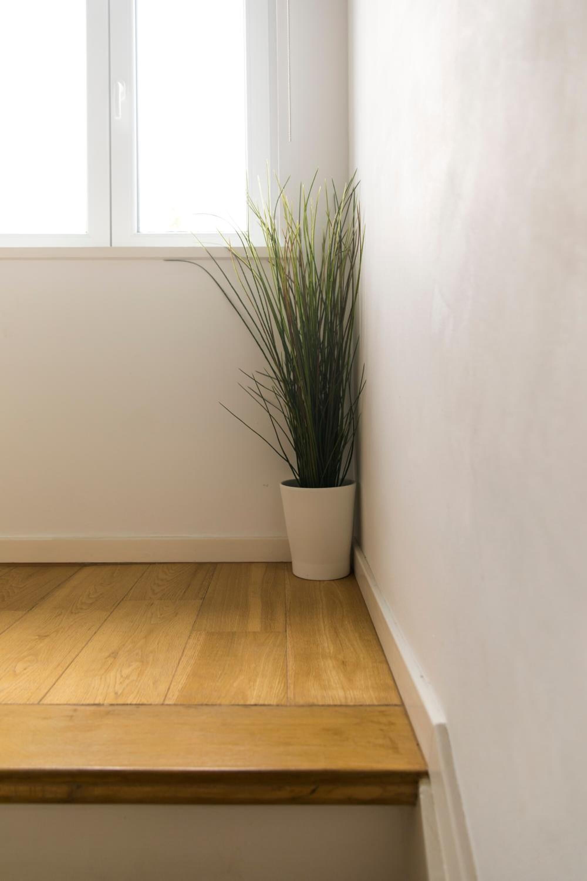 Ein Blick in ein Zimmer mit Holzboden, weißer Wand und einem Blumentopf.