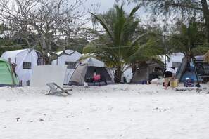A beach with several tents and a palm tree.