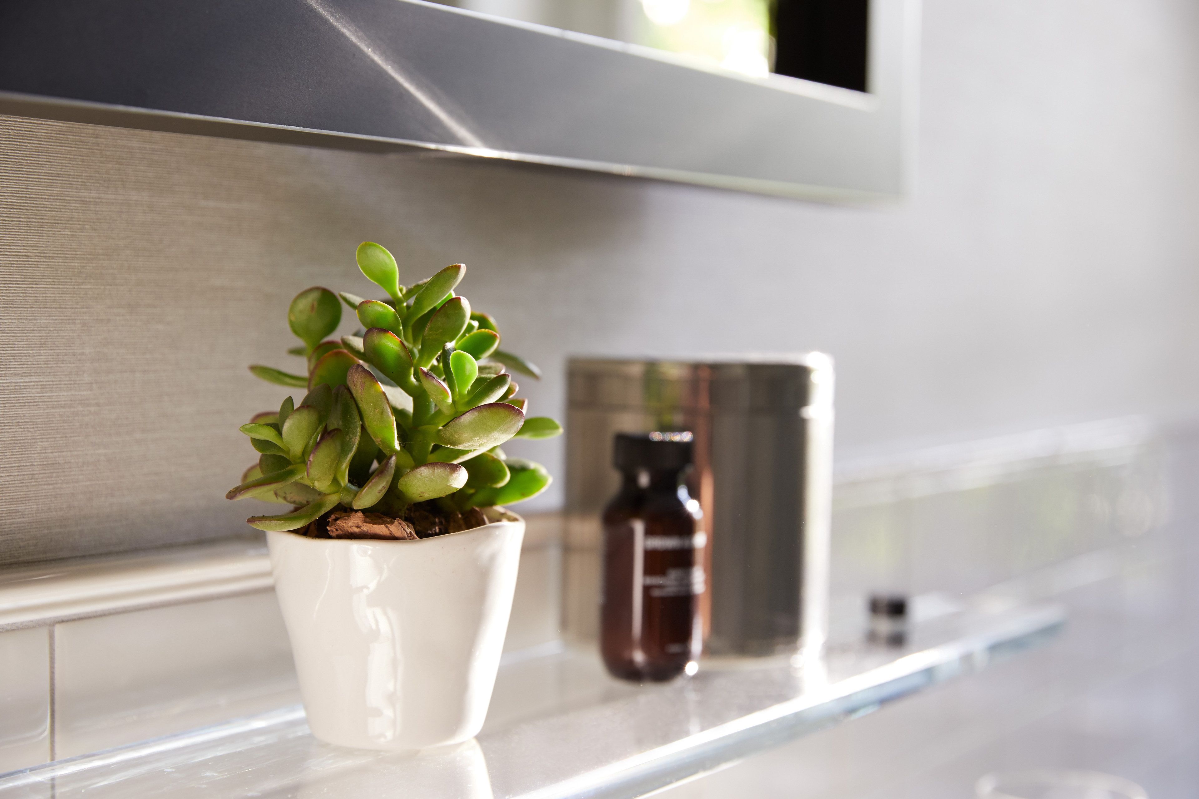 A potted plant on a kitchen counter with a bottle in the background.