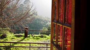 Une vue depuis une pièce dont la fenêtre, encadrée de bois, donne sur une colline verdoyante parsemée d’arbres.