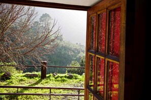 View from room - Albergue de Bolico (Buenavista del Norte)