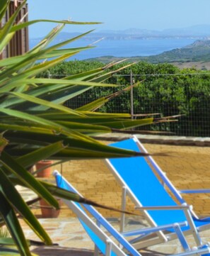 Property grounds - Agriturismo Finagliosu (Sassari)