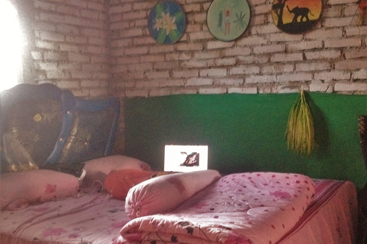 Ein Zimmer mit Backsteinwand, einem grünen Kopfteil und einem Bett mit rosa Bettwäsche. Drei dekorative Teller sind an der Wand angebracht.