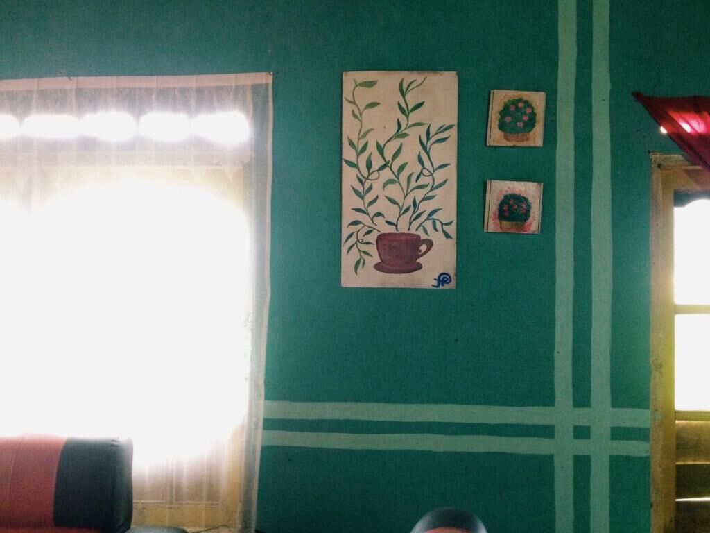 Una habitación con una pared verde, una ventana con cortina translúcida y una planta en maceta con diseño de taza.