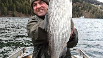 Une personne tenant un gros poisson sur un bateau, avec un paysage boisé en arrière-plan.