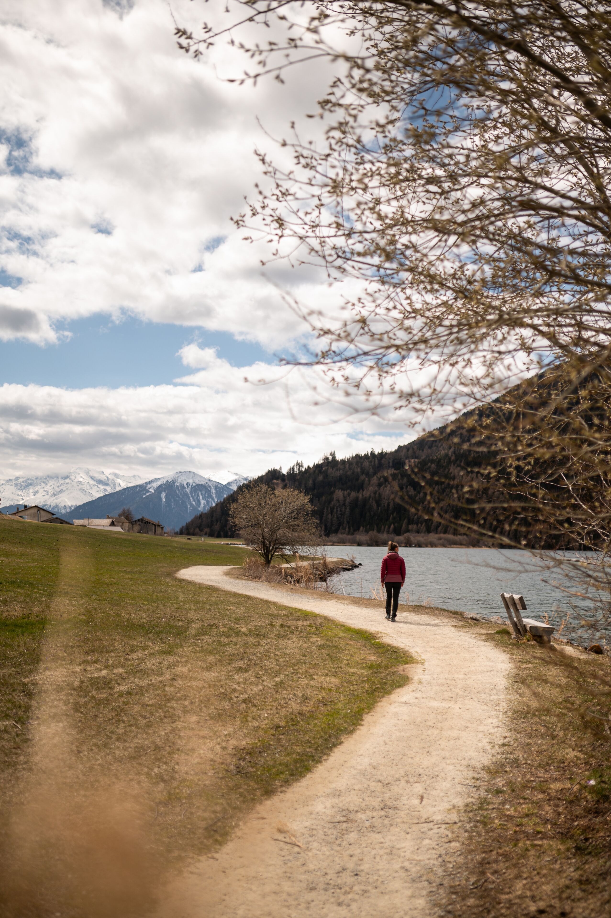 Un sentiero sterrato conduce a una panchina con vista su un lago, sullo sfondo montagne.