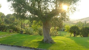 Taman