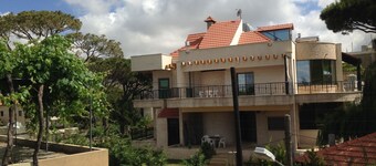 Honey Guesthouse
