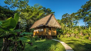 Une maison en bois, coiffée d’un toit de chaume, entourée d’une végétation luxuriante et surplombée d’un ciel bleu azur.