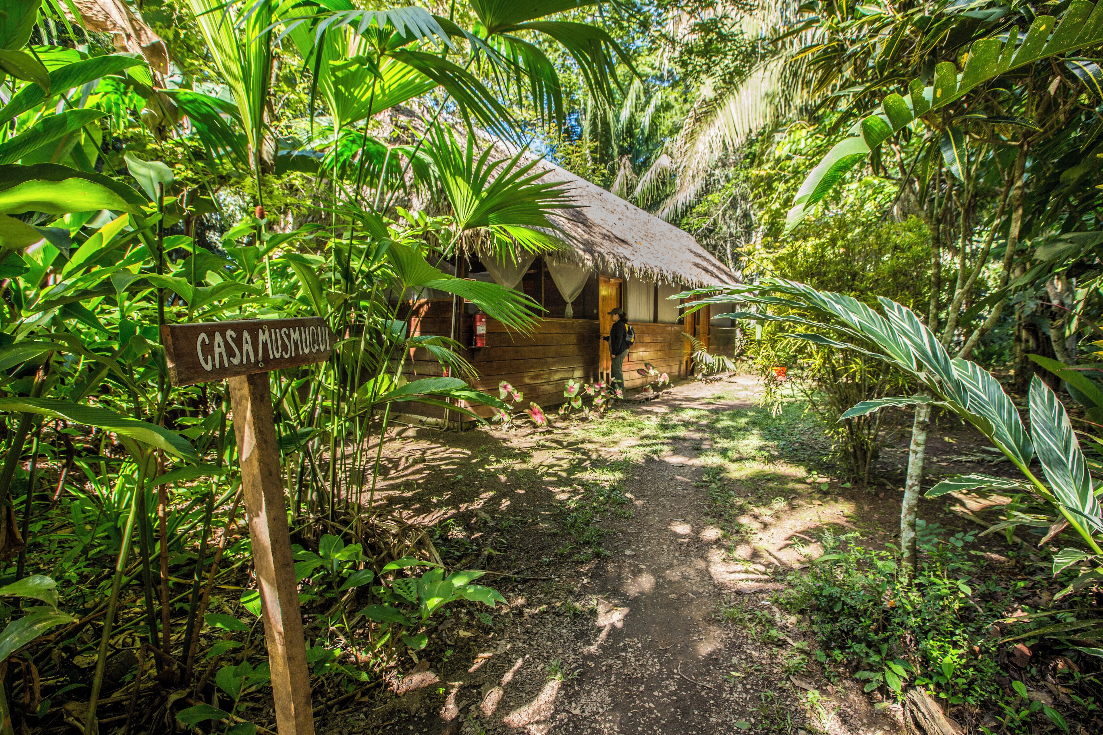 A rustic wooden house with a thatched roof, surrounded by dense tropical foliage.