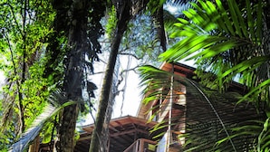 Un immeuble à plusieurs étages, doté d’un escalier menant à un balcon, le tout entouré d’une végétation tropicale luxuriante.