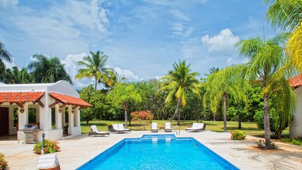 A swimming pool with lounge chairs, a barbecue area, and palm trees.