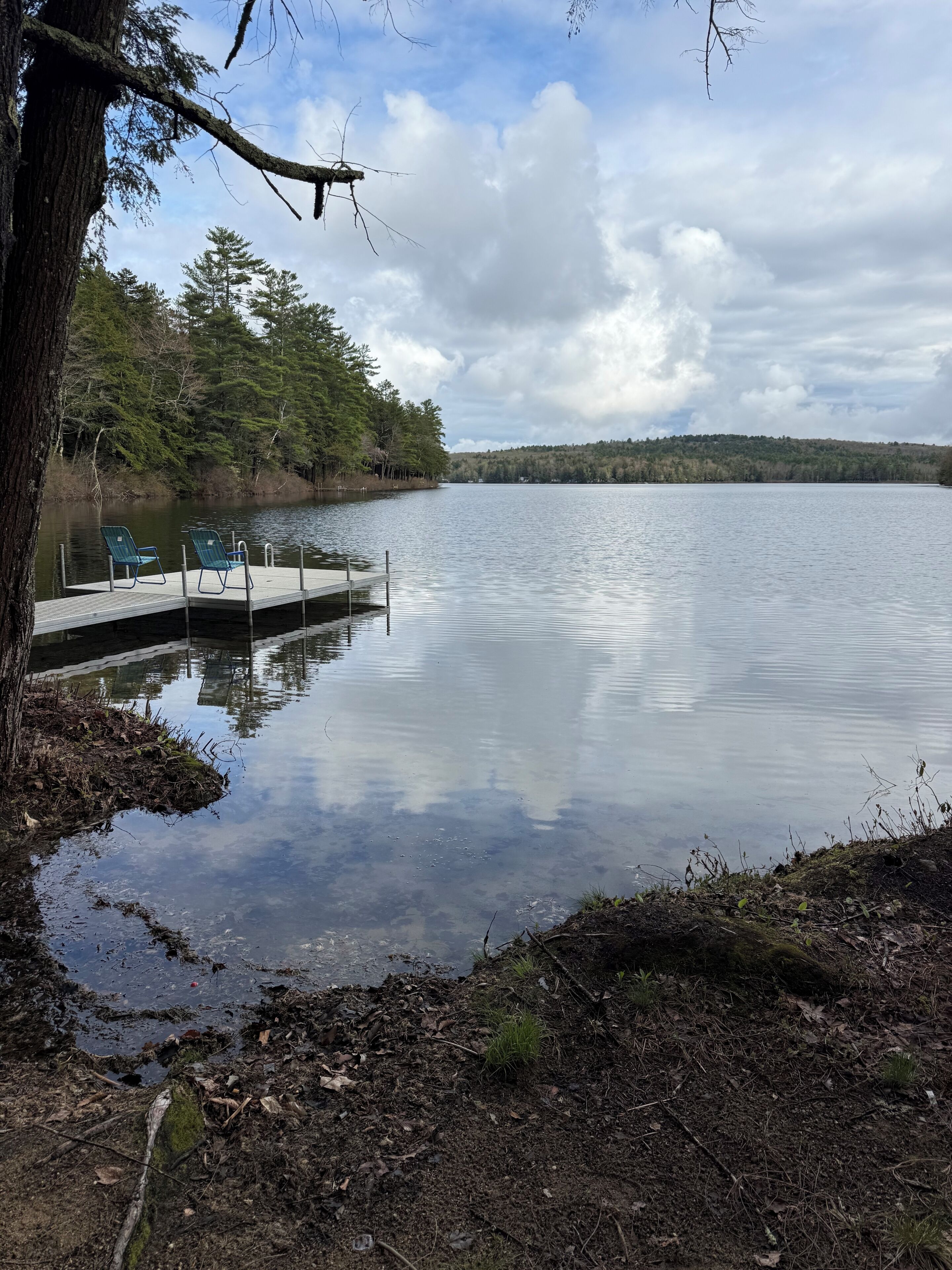 Un lago tranquilo con un muelle y sillas, rodeado de árboles y una colina distante.