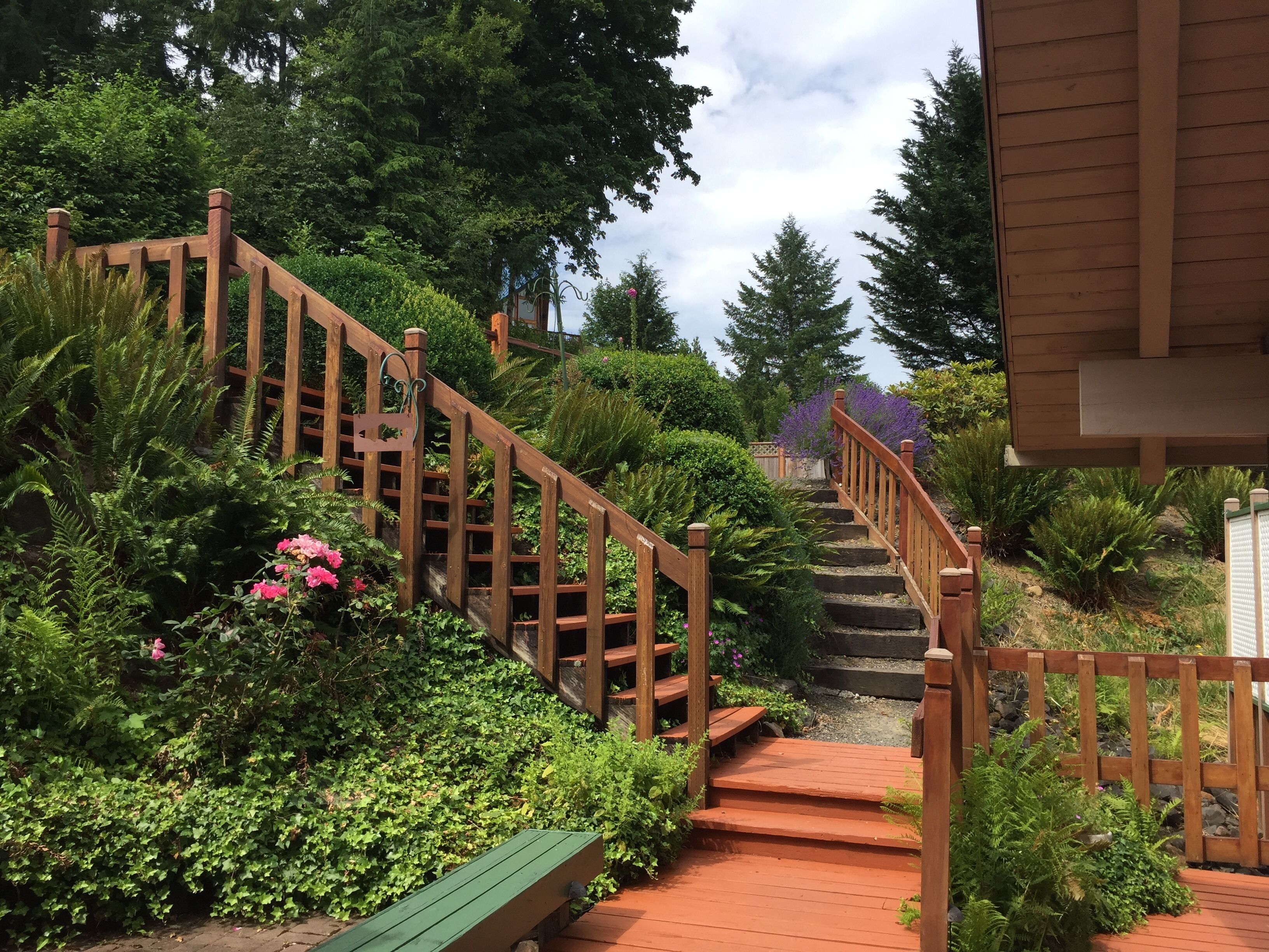 Overnattingsstedets uteområder