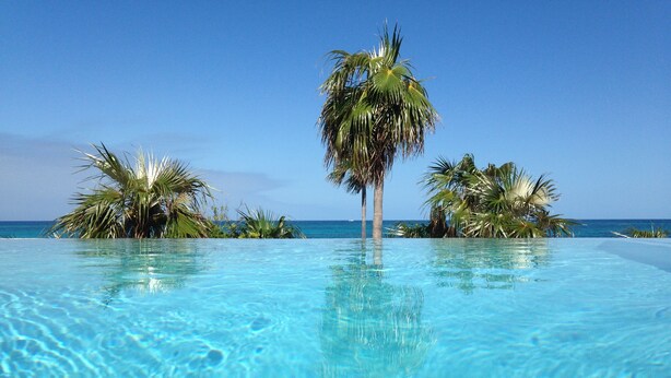 A clear blue pool with palm trees and a view of the ocean.
