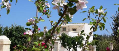 Área da propriedade