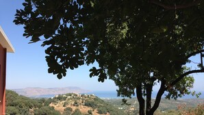 A stone pathway leading to a white building with a view of a mountainous landscape and the sea. - Villa with private pool and sea view located between Chania and Rethymnon, Lake Kournas (Patima)