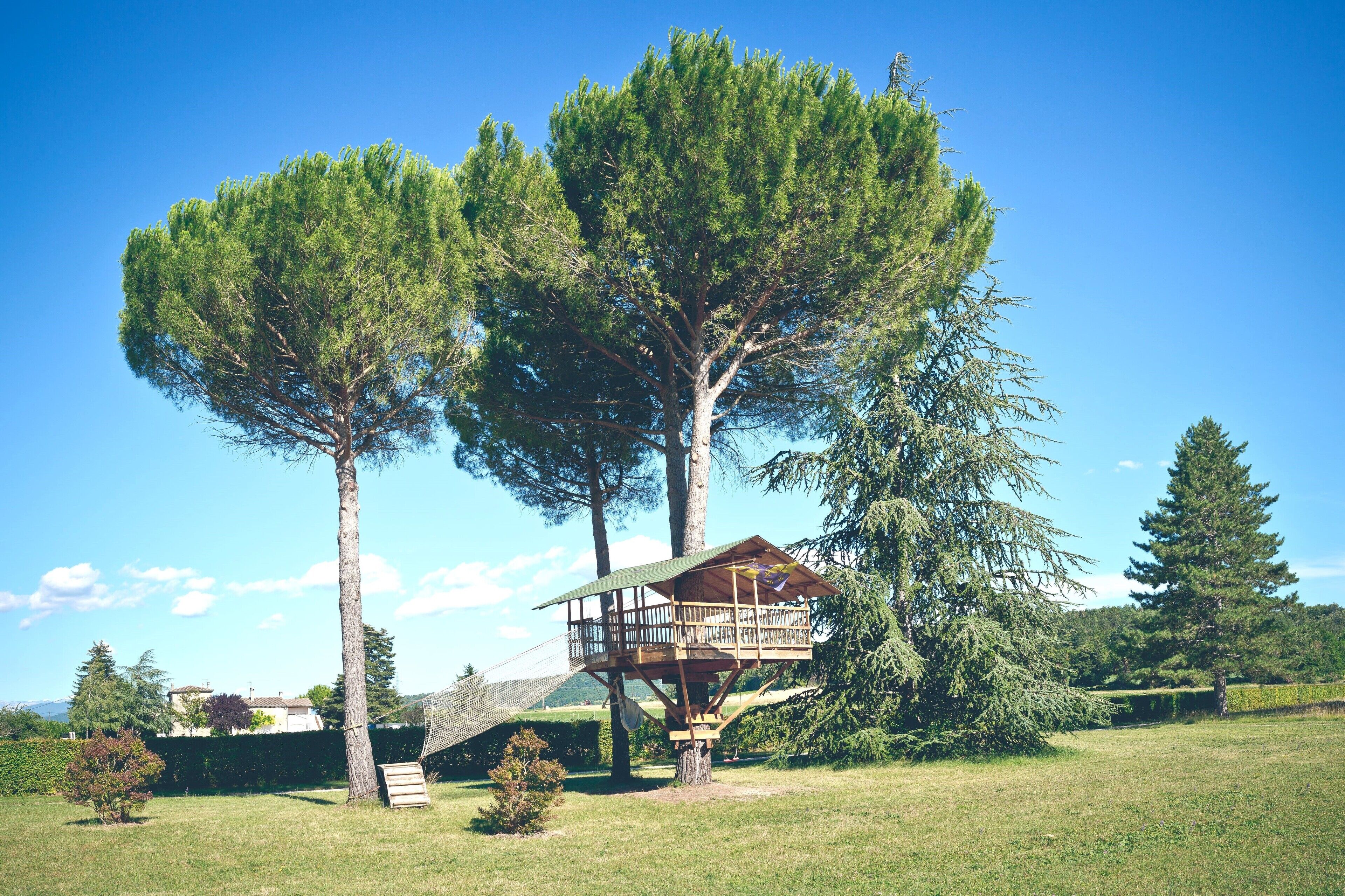 A treehouse with a wooden deck and a rope bridge, surrounded by lush greenery and trees.