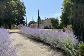 Overnattingsstedets uteområder