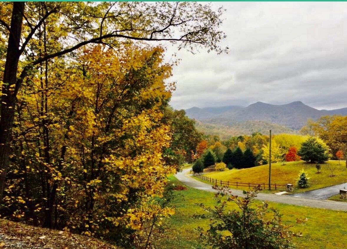 Northeast GA Mountain Cabin-Dillard GA