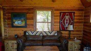 Smart TV, lareira, DVD player, livros