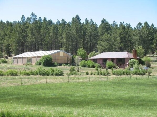Une propriété rurale dotée d’une grande serre, d’une maison au toit rouge et, en arrière-plan, d’une forêt dense.