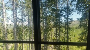 Blick durch ein Fenster auf ein bewaldetes Gebiet mit hohen Bäumen und blauem Himmel.