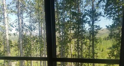 Kaunis Winter Park Townhouse-keskusta, upeat Mtn-näkymät, oma poreallas!