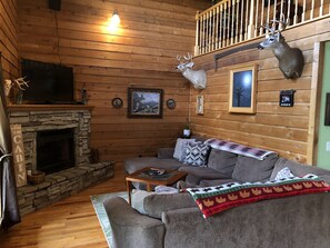 Télévision, cheminée, lecteur de DVD, vidéothèque