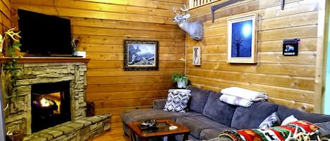 Een televisie, een open haard, een dvd-speler en een filmbibliotheek