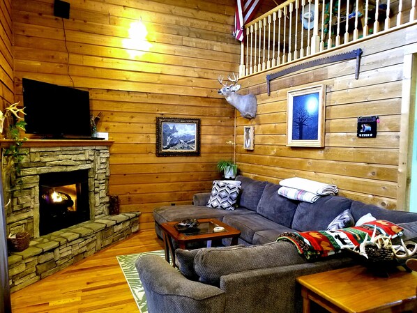 TV, fireplace, DVD player, video library