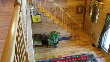 TV, peis, DVD-spiller og filmbibliotek