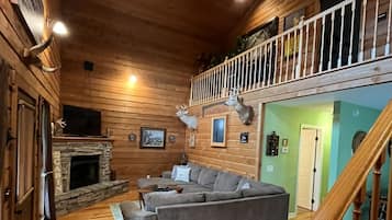 Televisie, een open haard, een dvd-speler en een filmbibliotheek