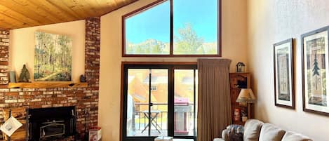 Smart TV, fireplace, DVD player, video library