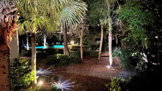 Un'area giardino ben illuminata con piscina, circondata da diversi alberi e piante.