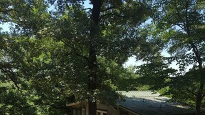 Une petite maison avec un toit en métal, entourée d’arbres et d’herbe.