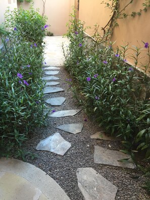 Property grounds - Bahia Encantada Elegant Casa Steps to Sea and Hotel (Unknown)