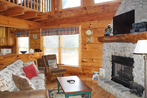 TV, fireplace, video games, DVD player
