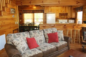 تلفزيون، مدفأة، ألعاب فيديو، مشغل دي في دي