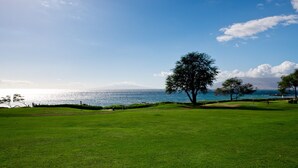 A golf course with a large tree and a view of the ocean. -  #239 Steps to Kamaole III Beach,  New Kitchen 'Solid Gold Value' Maui Revealed (Kihei)