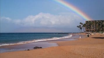 Beach nearby, sun loungers, beach towels