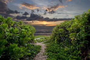 A pathway leading to a beach with dense green foliage on either side. -  #239 Steps to Kamaole III Beach,  New Kitchen 'Solid Gold Value' Maui Revealed (Kihei)